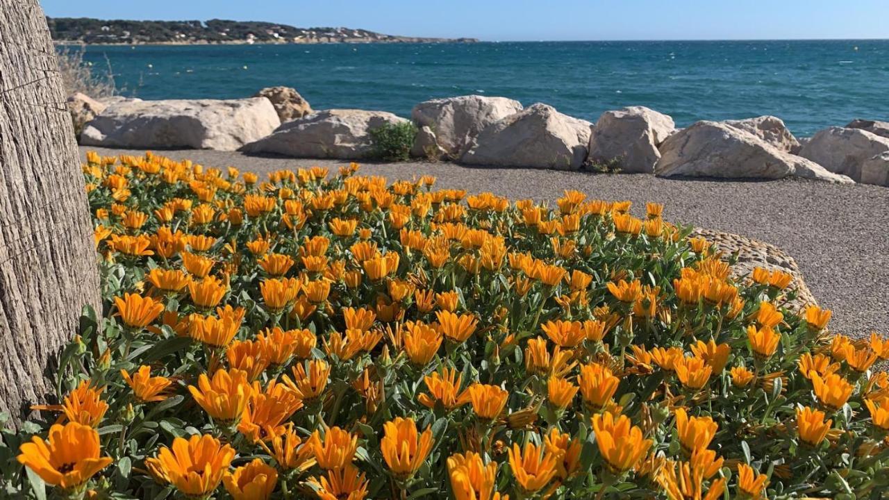 Les Appartements De La Marina Sanary-sur-Mer Exteriér fotografie