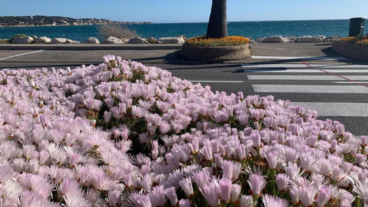 Les Appartements De La Marina Sanary-sur-Mer Exteriér fotografie